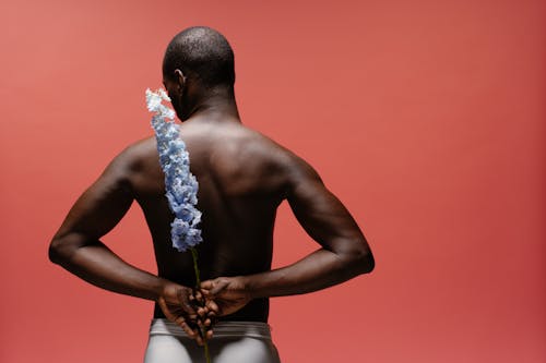 Free stock photo of back view, black guy, body