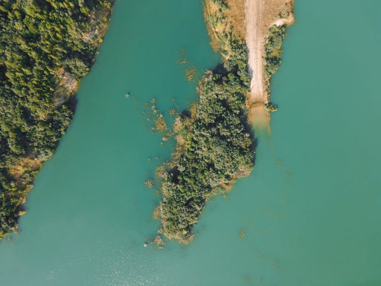 Land Covered In Trees Surrounded By Water