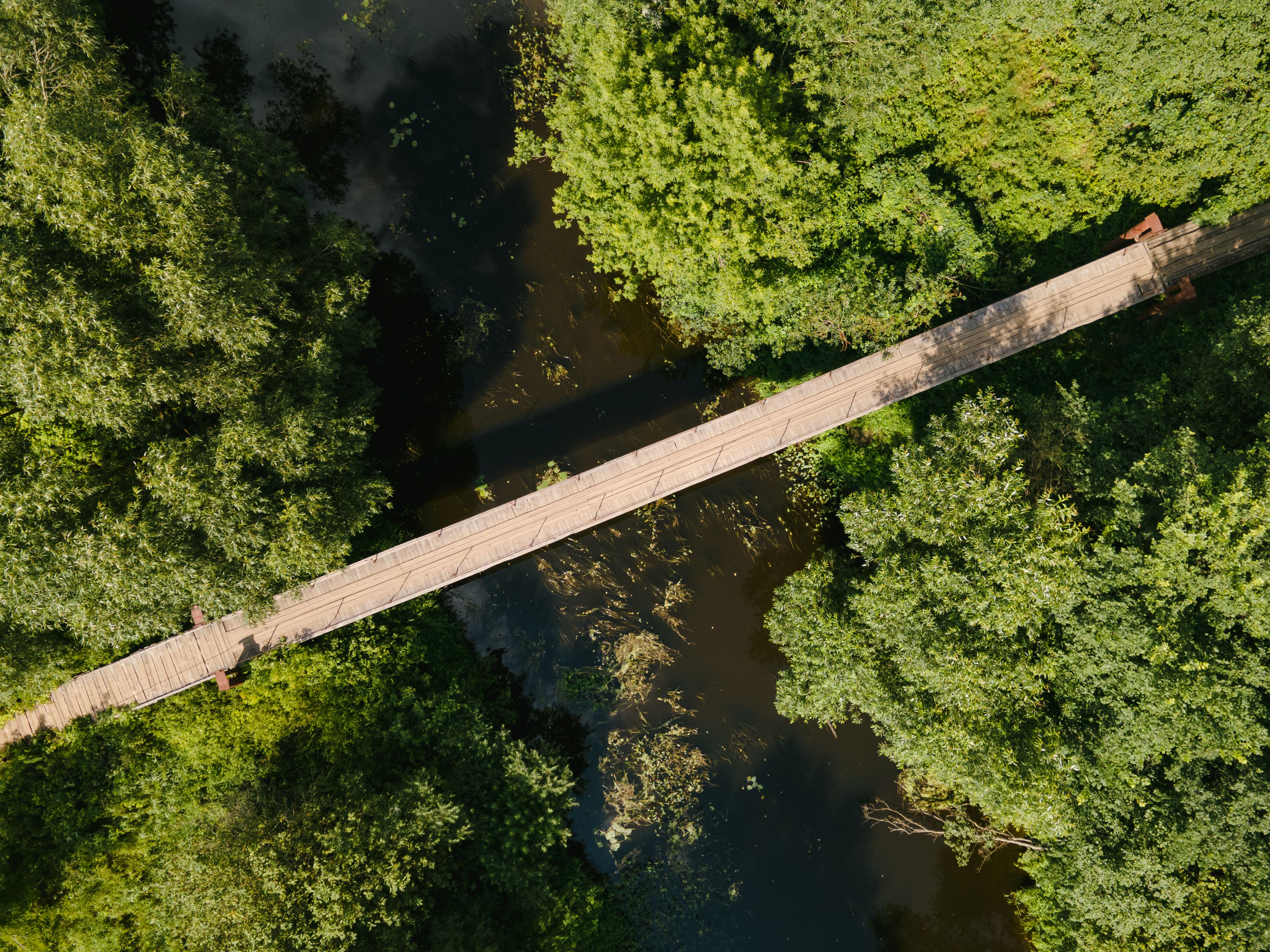 Bird's-eye view of a Bridge Passing a River · Free Stock Photo