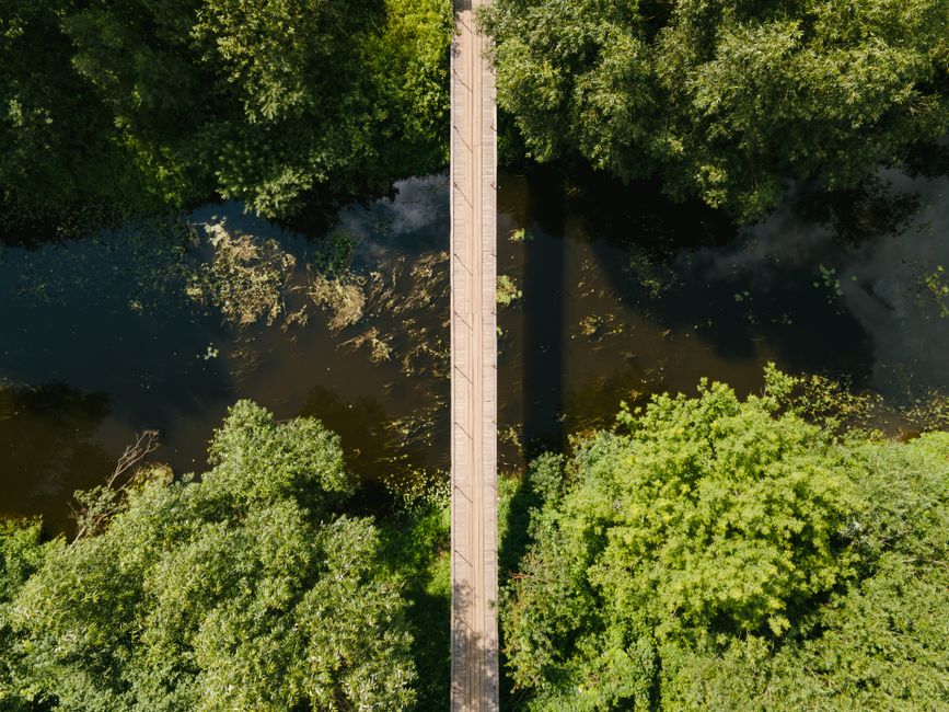 A serene aerial shot capturing a wooden bridge spanning across a lush forest river.