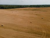 Free stock photo of abstract background, agriculture, countryside