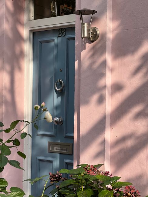Blue door on a pink wall with plant shadows and metal lamp for a vintage feel.