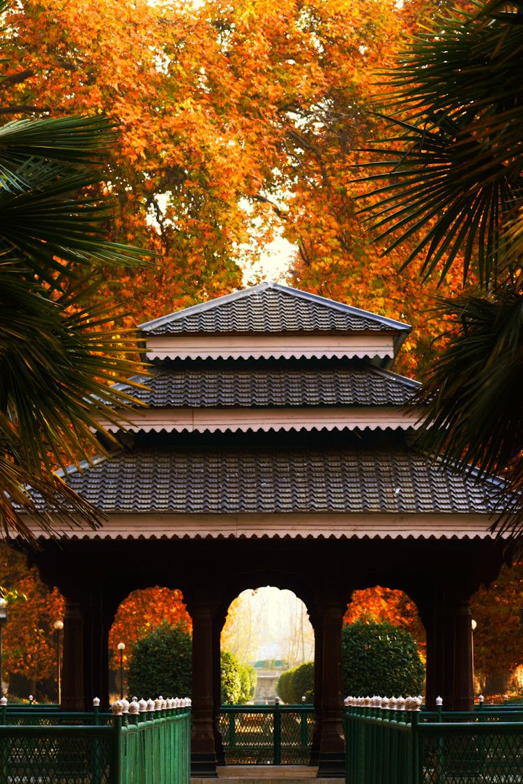 Pavilion In Dara Shikoh Garden In Autumn