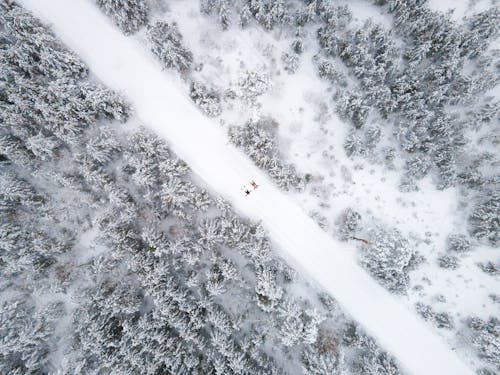 Aerial View of a Couple Lying on the Road Through a Forest Covered with Snow