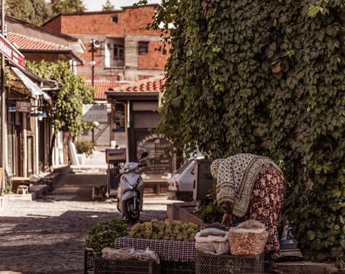 Základová fotografie zdarma na téma maloobchod, městský, prodej