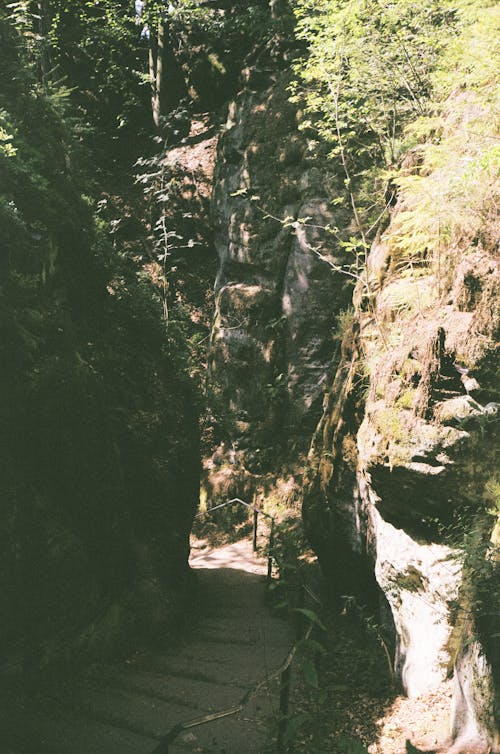 Narrow Stairs Between Rocks in the Forest