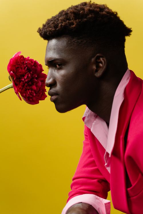 Free Elegant portrait of a man in pink blazer posing with a red flower against a vibrant yellow backdrop. Stock Photo