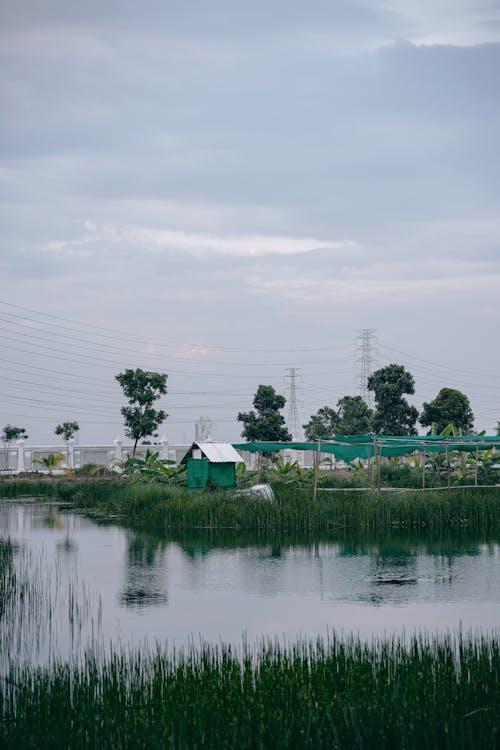 Безкоштовне стокове фото на тему «вертикальні постріл, річка, сільськогосподарські землі»