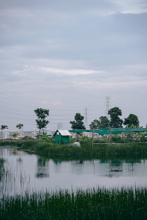 
A Farm by a River