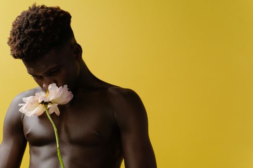 Free A shirtless man gently smelling a pink peony against a vibrant yellow background. Stock Photo