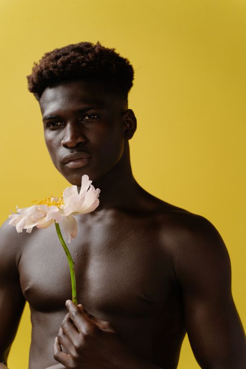 Free Artistic portrait of a black man holding a peony against a vibrant yellow background. Stock Photo