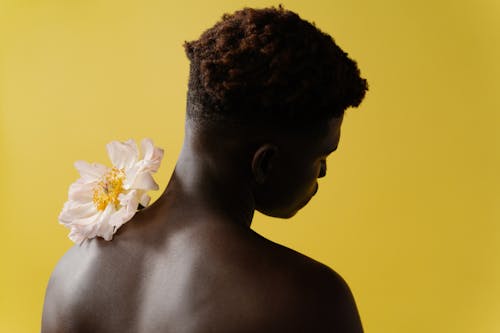 Darmowe zdjęcie z galerii z afroamerykanin, czarnoskóry, kwiat