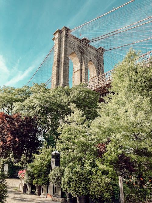 Free 
A View of the Brooklyn Bridge in New York Stock Photo