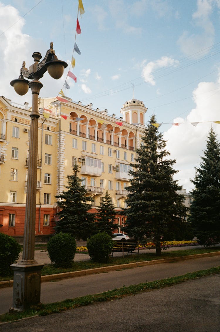 Pine Trees Growing Near Historic City Building 