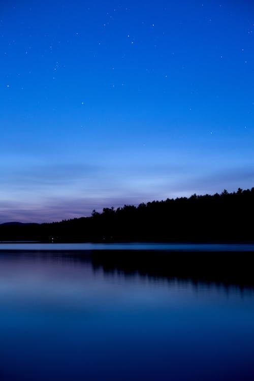 Foto profissional grátis de água, ao ar livre, árvores