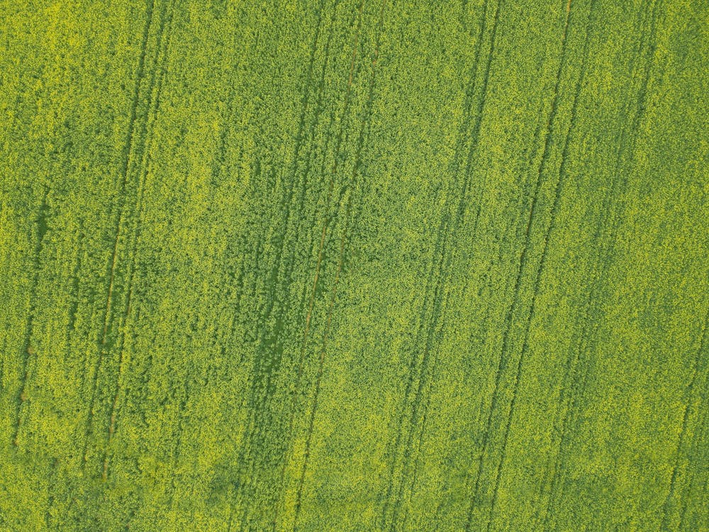 Aerial Photography of Green Grass Field