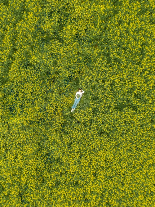 An Aerial Shot of a Woman Lying Down on a Field of Flowers