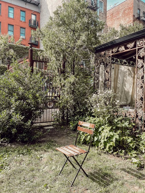 ヤード, 垂直ショット, 庭園の無料の写真素材