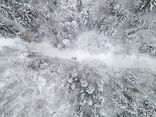 An Aerial Shot of a Car on a Snow Covered Road in a Forest