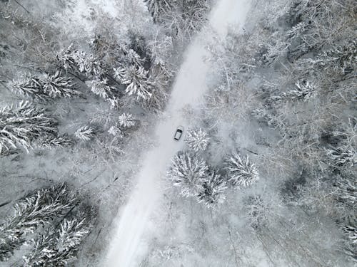 
An Aerial Shot of a Car on a Snow Covered Road in a Forest