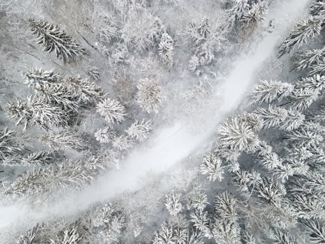 Drone shot of a wintery forest with snow-covered trees and a winding road.