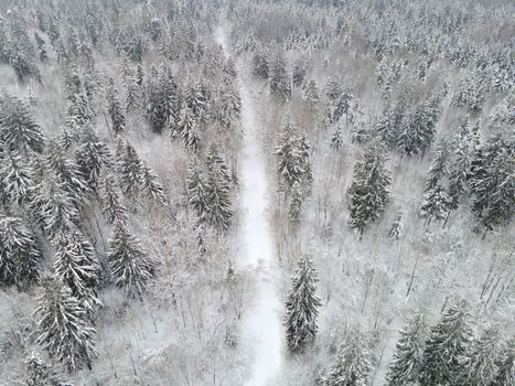 A breathtaking aerial view of a snow-covered forest during winter, showcasing nature's serene beauty.