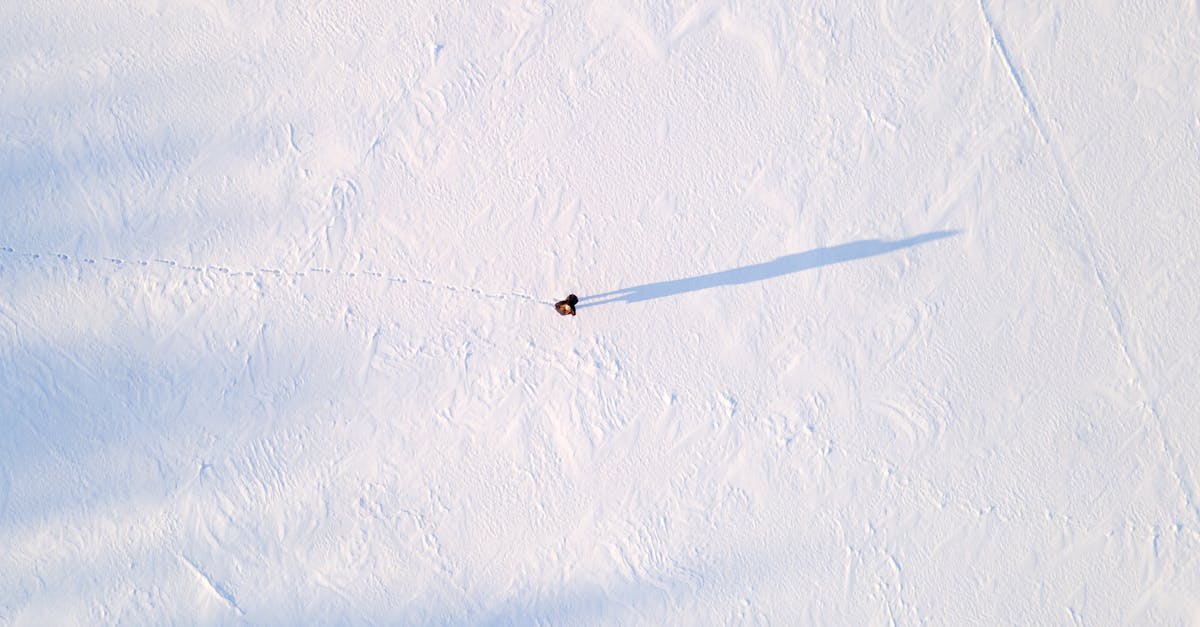 🏂✨ 见证奇迹!日本冬季残奥会代表选手名鉴来啦! 🏂✨ 见证奇迹!日本冬季残奥会代表选手名鉴来啦!