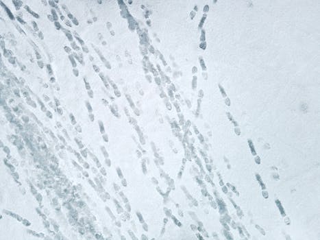 An aerial shot showing multiple footprints on a snow-covered field, emphasizing winter exploration.
