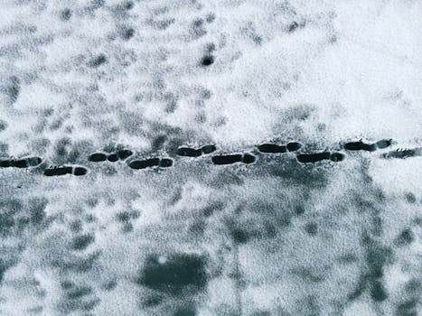 Aerial image capturing footprints traversing a snowy field, showcasing winter's icy beauty.