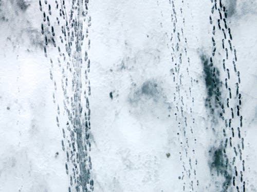 Bird's Eye View of Footprints on Snow Covered Ground