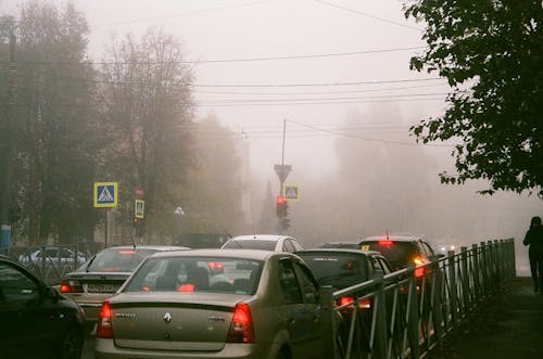 Morning Fog Creates School Rush — Parents Share Hacks