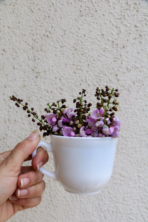 A Person Holding a Cup with Flowers