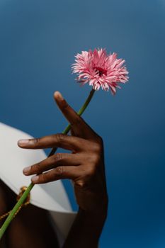 A close-up of a hand elegantly holding a pink Gerbera daisy against a blue background.