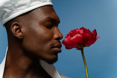 Free Close-up of man in white beret smelling a red flower against blue backdrop. Stock Photo