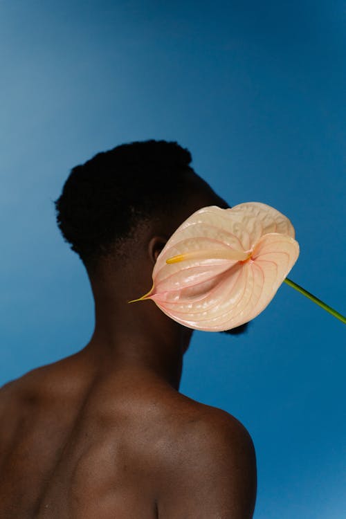 Anthurium Flower Covering the Face of a Shirtless Man