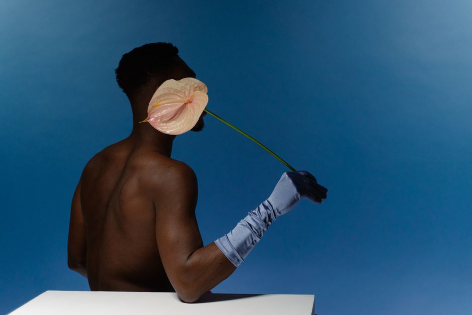 Shirtless man holding pink anthurium against blue background, artistic composition.