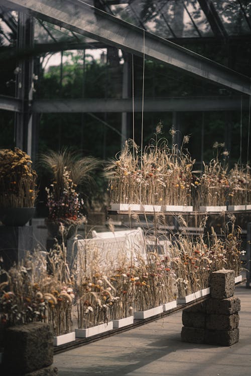 10,000+ Best 4k Iphone Papel De Parede Photos · 100% Free Download