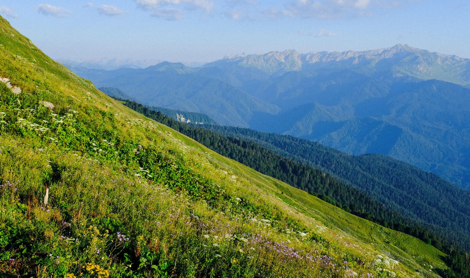 Pente de montagne verdoyante sous un ciel bleu