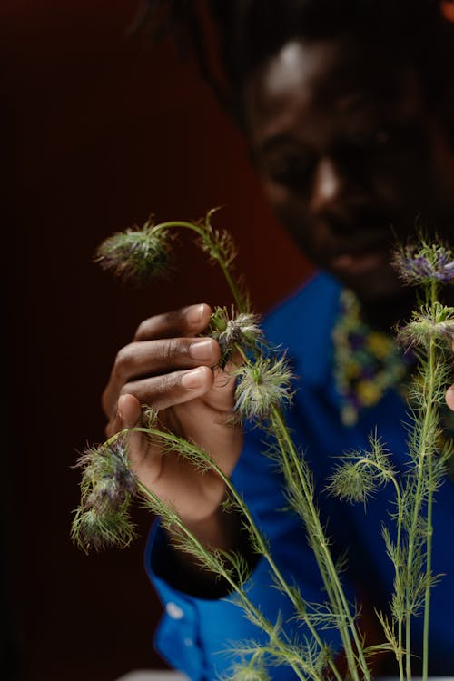 Photo of a Man's Hand Touching Herbs