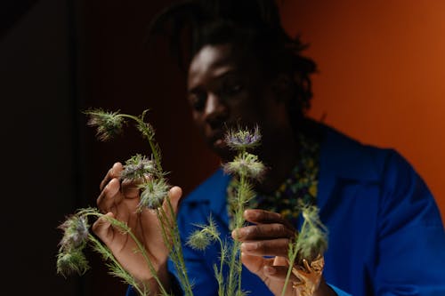 Close-Up Photo of a Man Touching Green Herbs