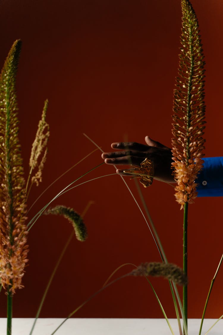 Hand Touching Grass