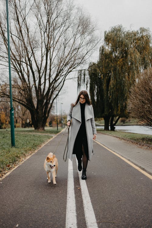 A Woman Walking Her Dog 