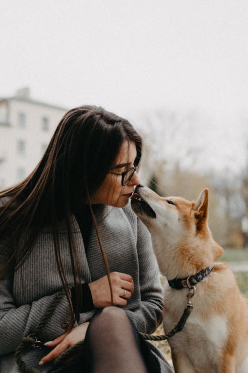 Free A Woman Kissing Her Pet Dog Stock Photo