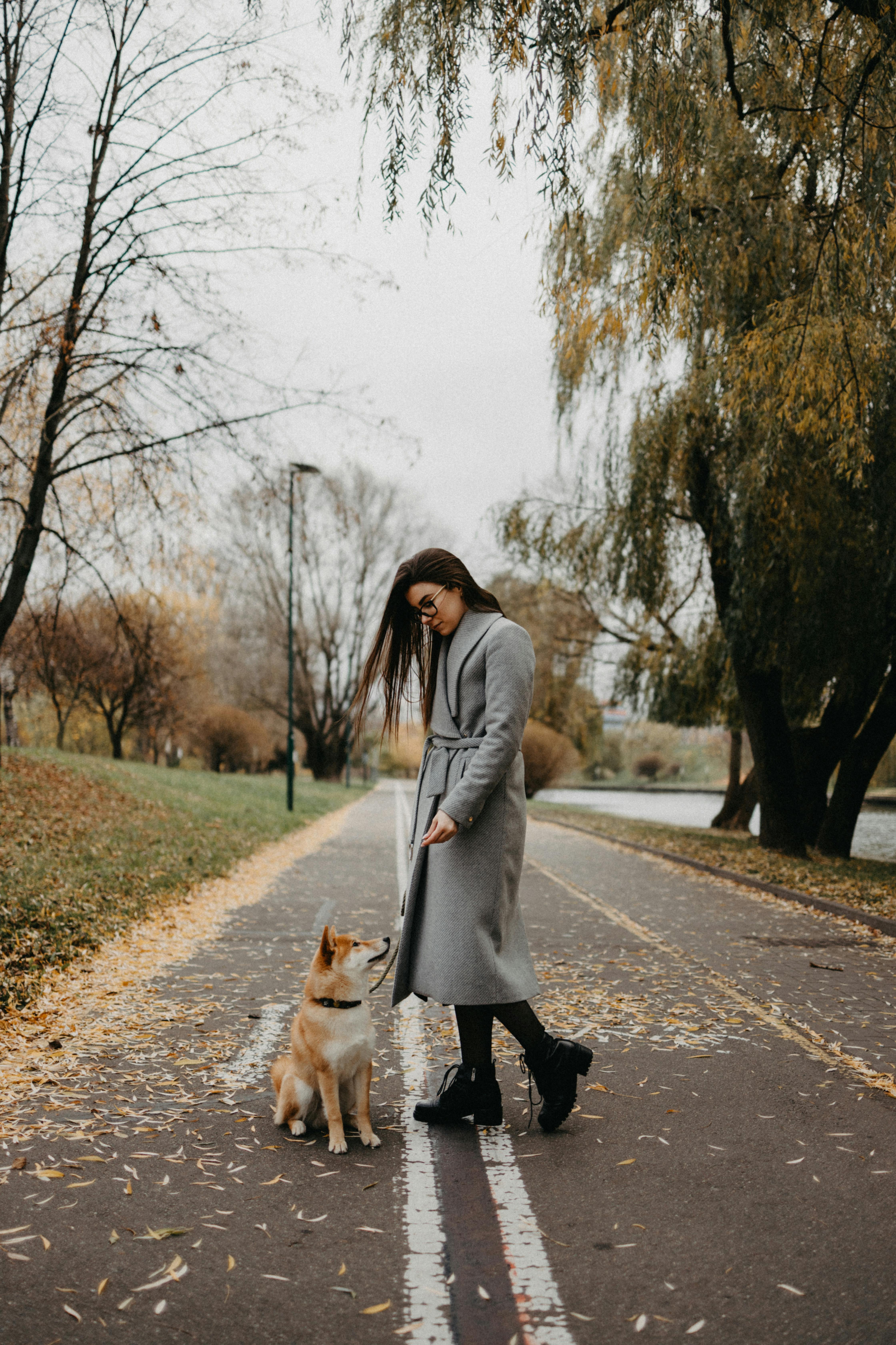 A woman in a gray coat walks her Shiba Inu dog along a leaf-lined park path in autumn.