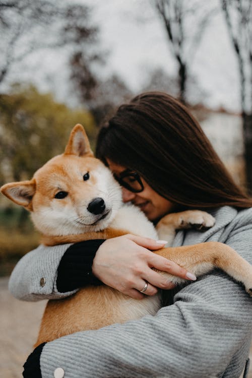 Free Woman Carrying A Dog and Showing Affection Stock Photo