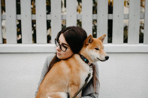 Free A young woman with glasses cuddles a Shiba Inu dog outdoors by a white fence. Stock Photo