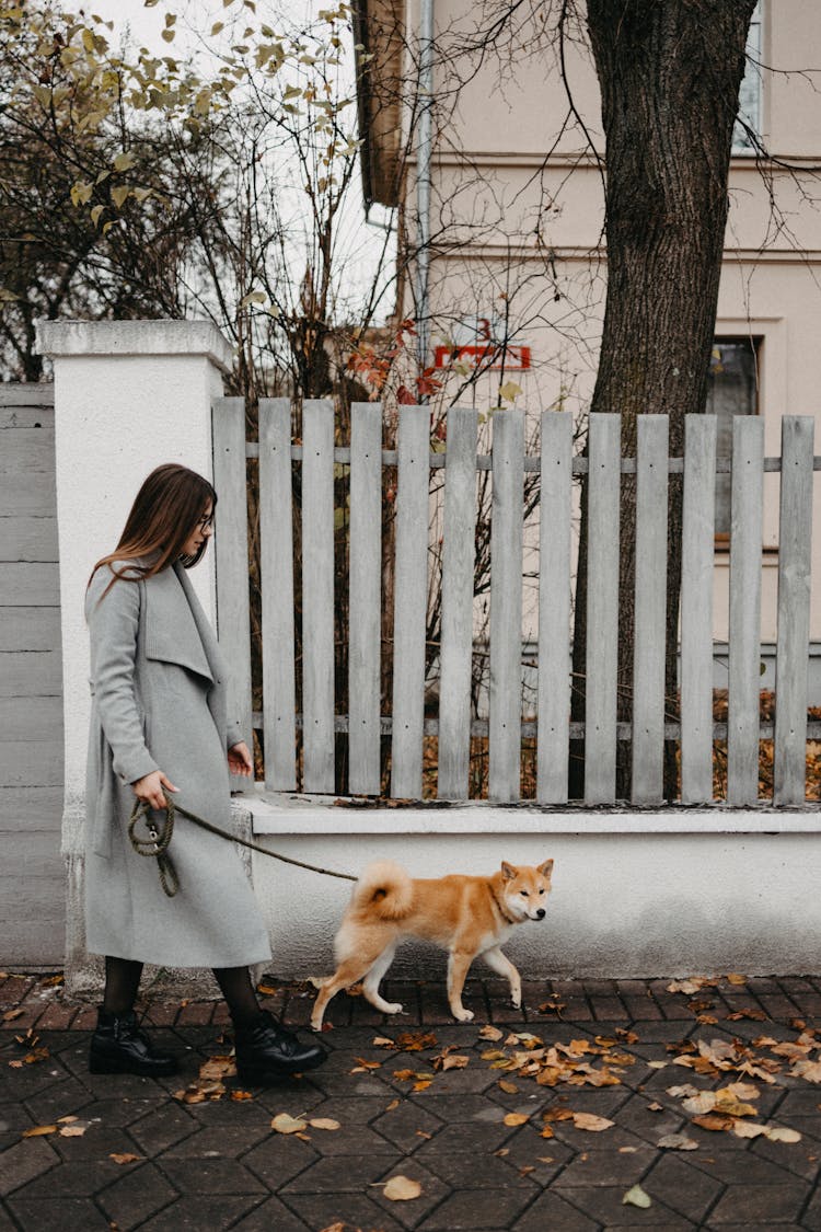 A Woman In A Coat Walking Her Dog 