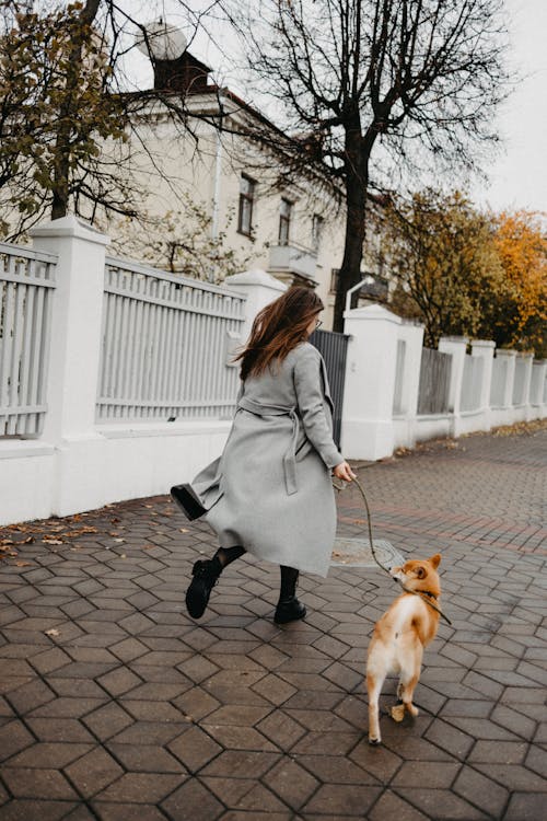 Woman in Gray Coat Walking with Her Pet Dog