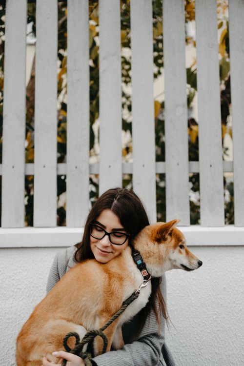 Free A woman lovingly holds her Shiba Inu dog outdoors against a wooden fence backdrop. Stock Photo