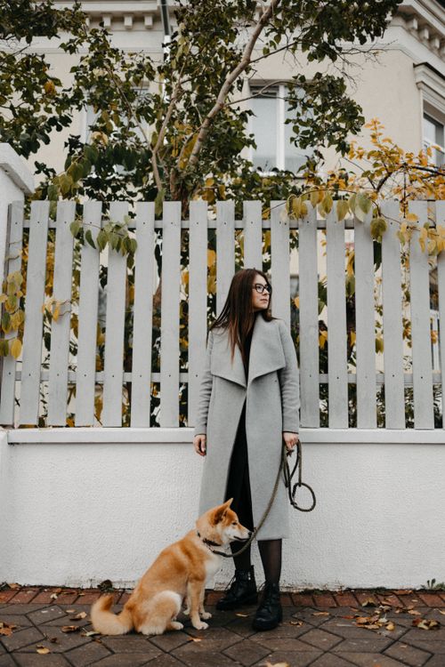 Free A woman with a Shiba Inu dog stands by a fence surrounded by autumn leaves, creating a cozy urban scene. Stock Photo